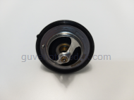 Chevrolet Captiva modeller için uygun Chevrolet Captiva Termostat İthal İTHAL