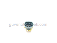 Opel Astra F 1992 1998 modeller için uygun Opel Astra G Motor Su Sıcaklık Sensörü DELPHI Marka (Oval Soket) DELPHI